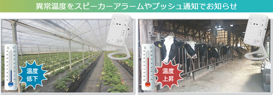 カメラ一発！｜CS-W60HD｜PLANEX