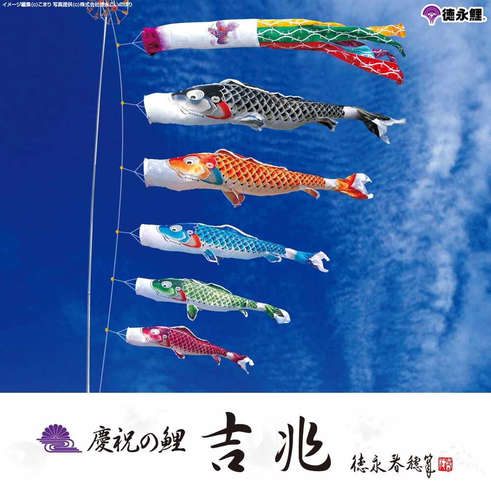 徳永こいのぼり 慶祝の鯉 吉兆 | 鯉のぼりの事なら節句専門店prefer