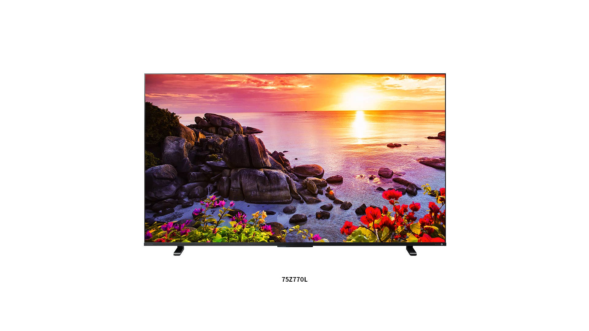 TVS REGZA 液晶テレビ 65Z770L 65V型 2023年製 C023 Z770L 商品詳細｜REGZA<レグザ>