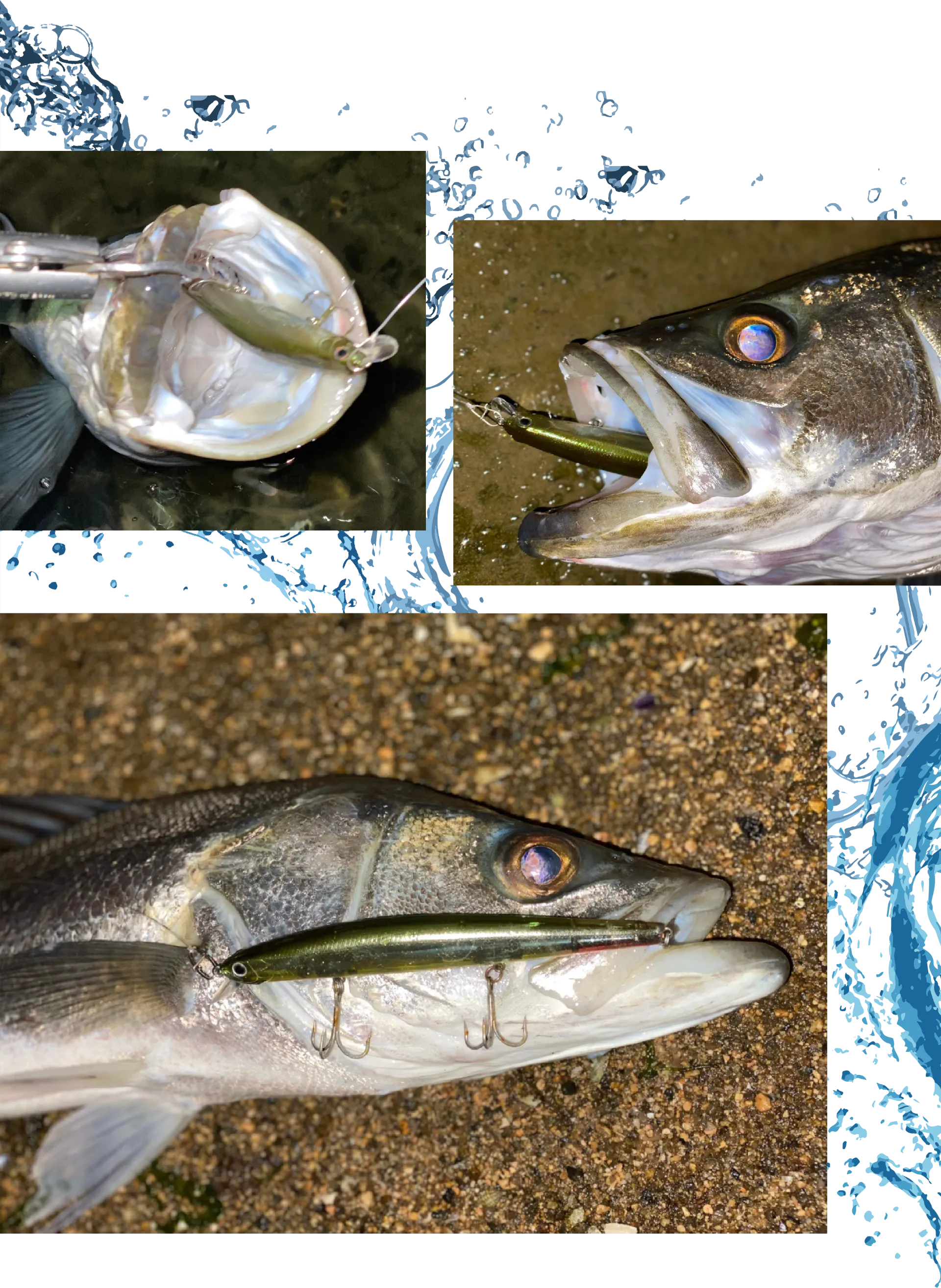 ZBL MINNOW 111F TIDAL | スペシャルコンテンツ | ZIPBAITS ジップベイツ