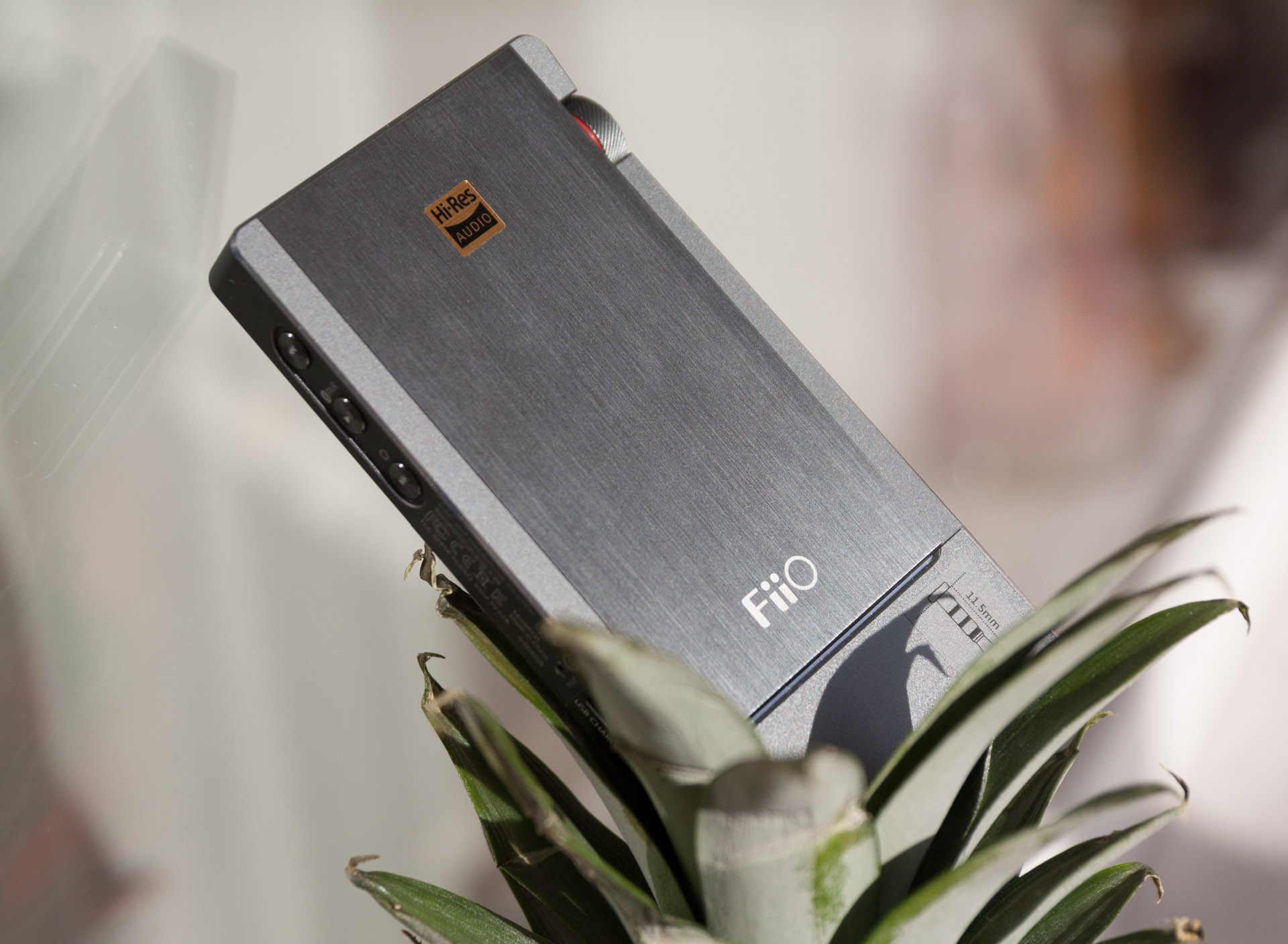 The FiiO Q5 Review.-FIIO---BORN FOR MUSIC