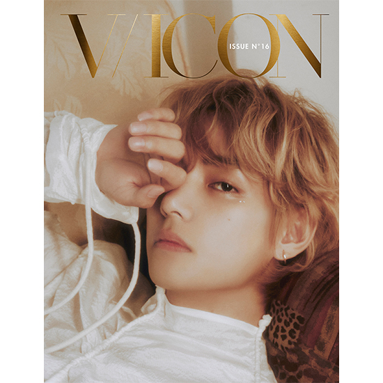 DICON ISSUE N°16 V : VICON 「a magazine about V」C-type] | kokode