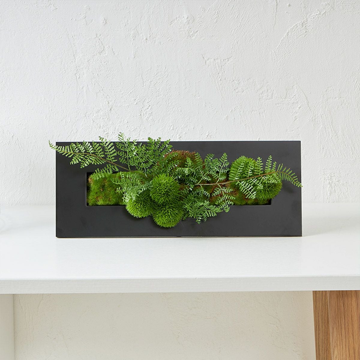 壁掛けグリーン マリモxシノブ 和モダン グリーン | オーダー