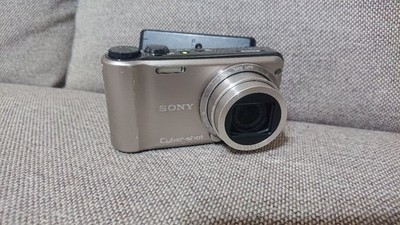 Buy Sony Cyber-shot DSC-T700 10.1MP Digital Camera - Silver online
