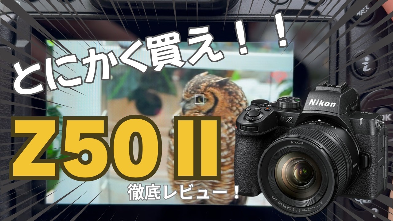 迷ったらコレ！あなたにぴったりのNIKONカメラを徹底解説 - YouTube
