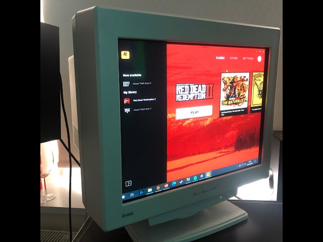 Gaming on an Iiyama Vision Master Pro 510 22