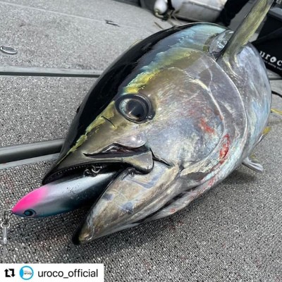 UROCO ウロコペンシル 190F(フルタングステンウェイトモデル) | ルアー