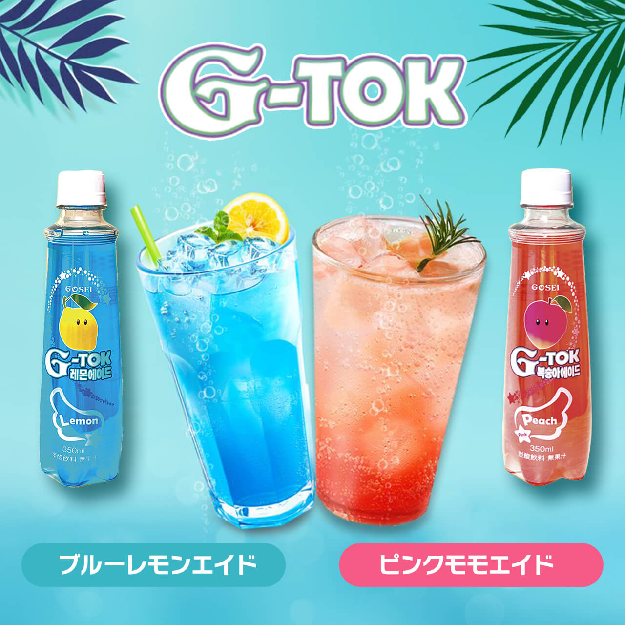 タメせる！五星コーポレーション「G–TOK 2種各6本セット」