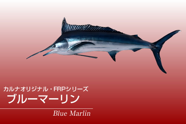 楽天市場】FRPアニマルオブジェ ブルーマーリン【即納可】置物 動物 魚