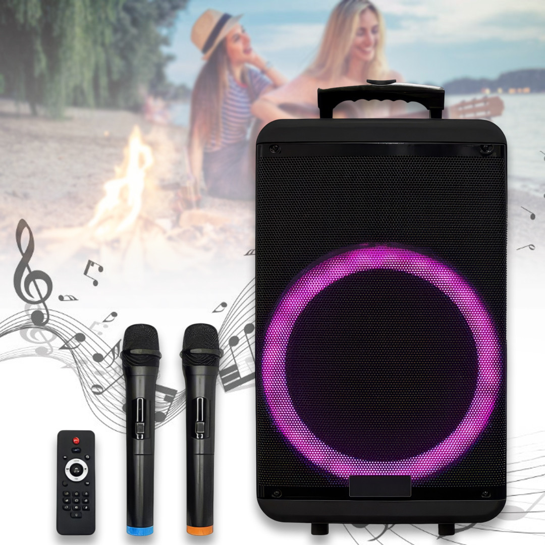 Колонка-валіза переносна на колесах з 2 мікрофонами та пультом ZXX