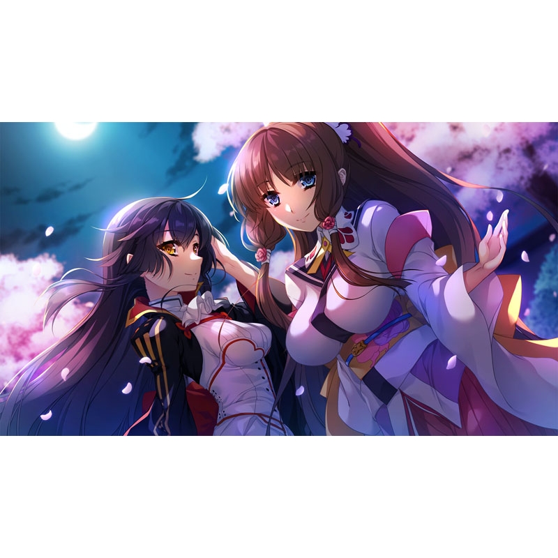 戦国†恋姫EX ～COLLECTION～ : Game Soft (Nintendo Switch