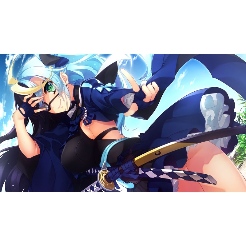 戦国†恋姫EX ～COLLECTION～ : Game Soft (Nintendo Switch