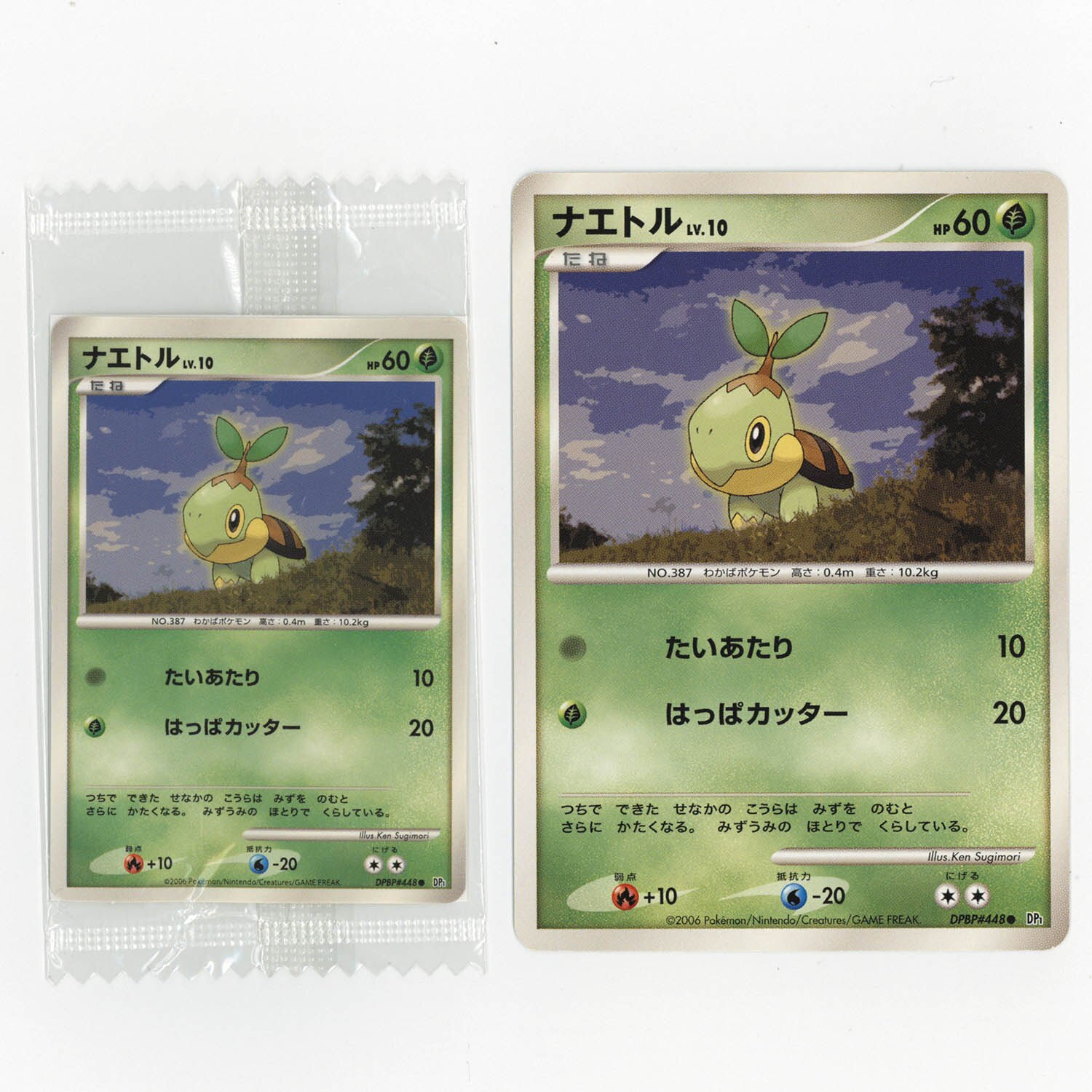 5029] ポケモンカード(Dpシリーズ) ナエトル(ミニサイズ)