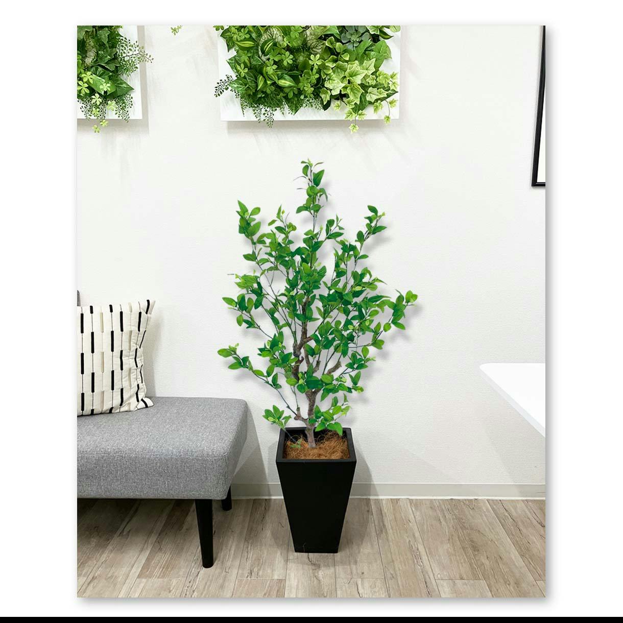 GREEN COFFRET フィッカスツリー115陶器鉢付・黒 人工観葉植物