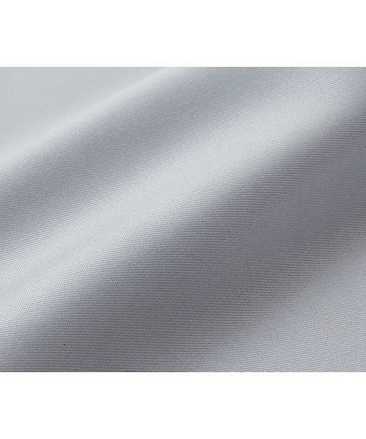 西川プレミアム シルク掛カバー（PI03700084） | 西川