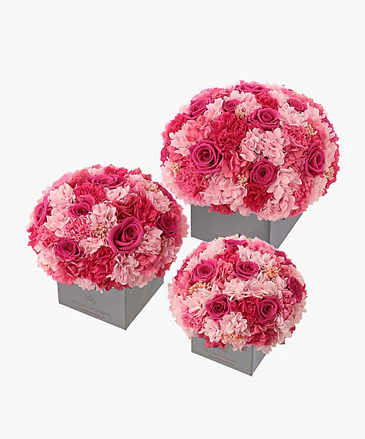 プリザーブドフラワーアレンジメント（ピンク） | Nicolai Bergmann