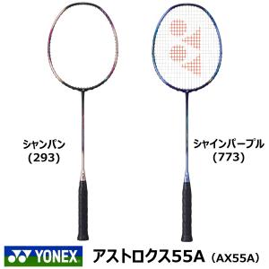 ASTROX ［ビクターアクセルセンコレクション］YONEX アストロクス100ZZ