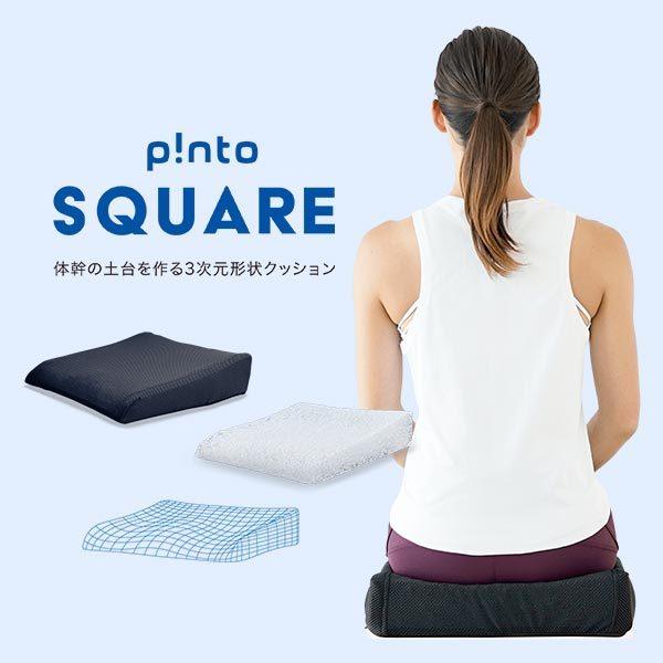 p!nto（ピント） ピーエーエス スクエア 1個 : 産経ネットショップ