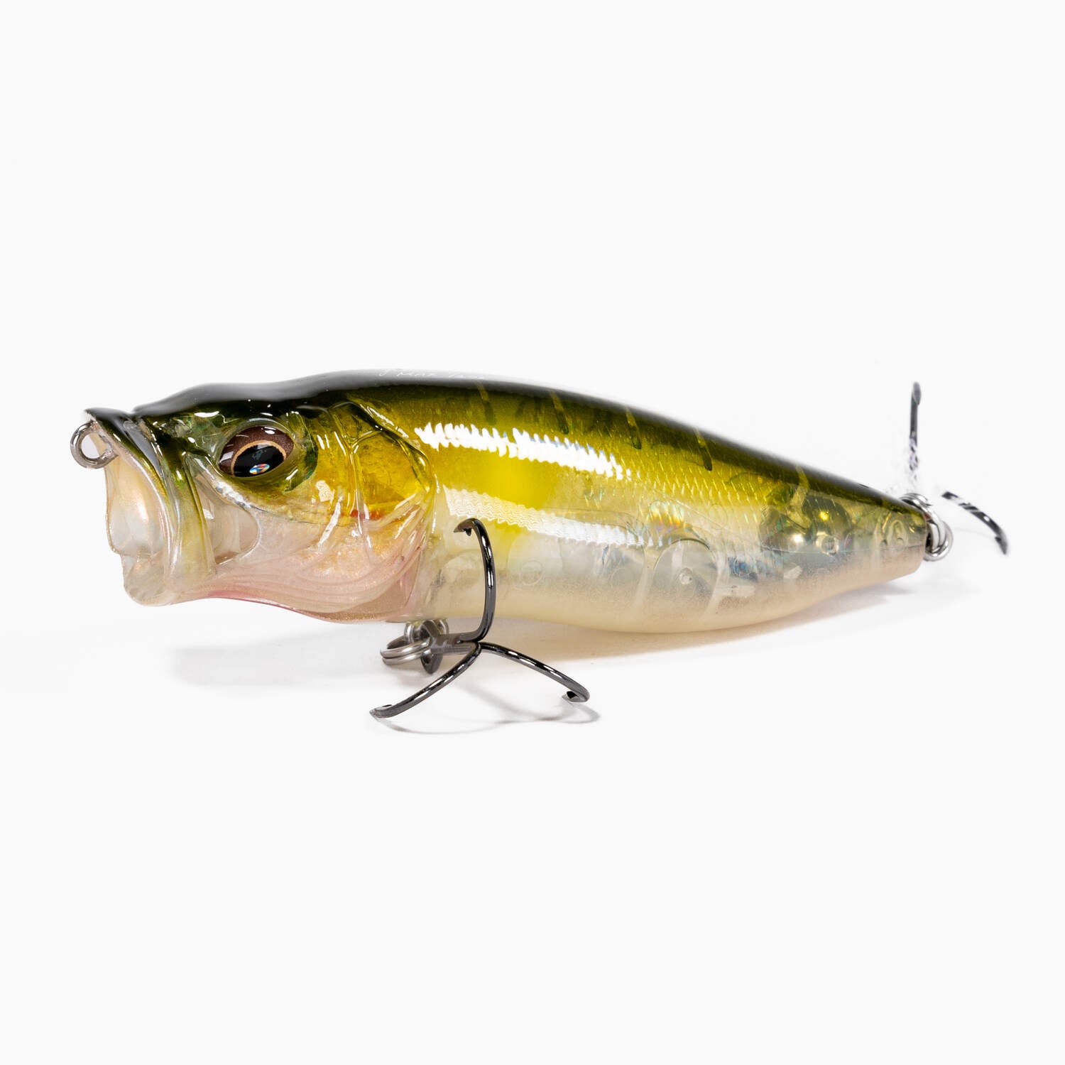 Megabass Popmax - J&H Tackle