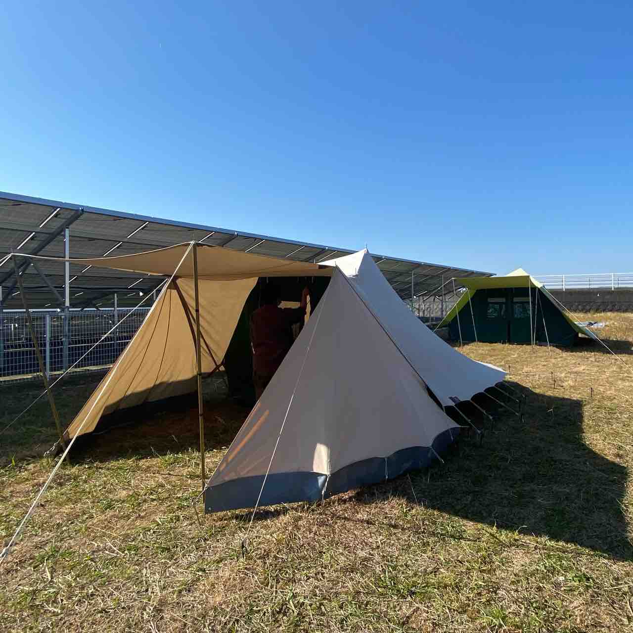 初めてのお座敷幕。デワード・アルバトロスジュニアをお迎えします