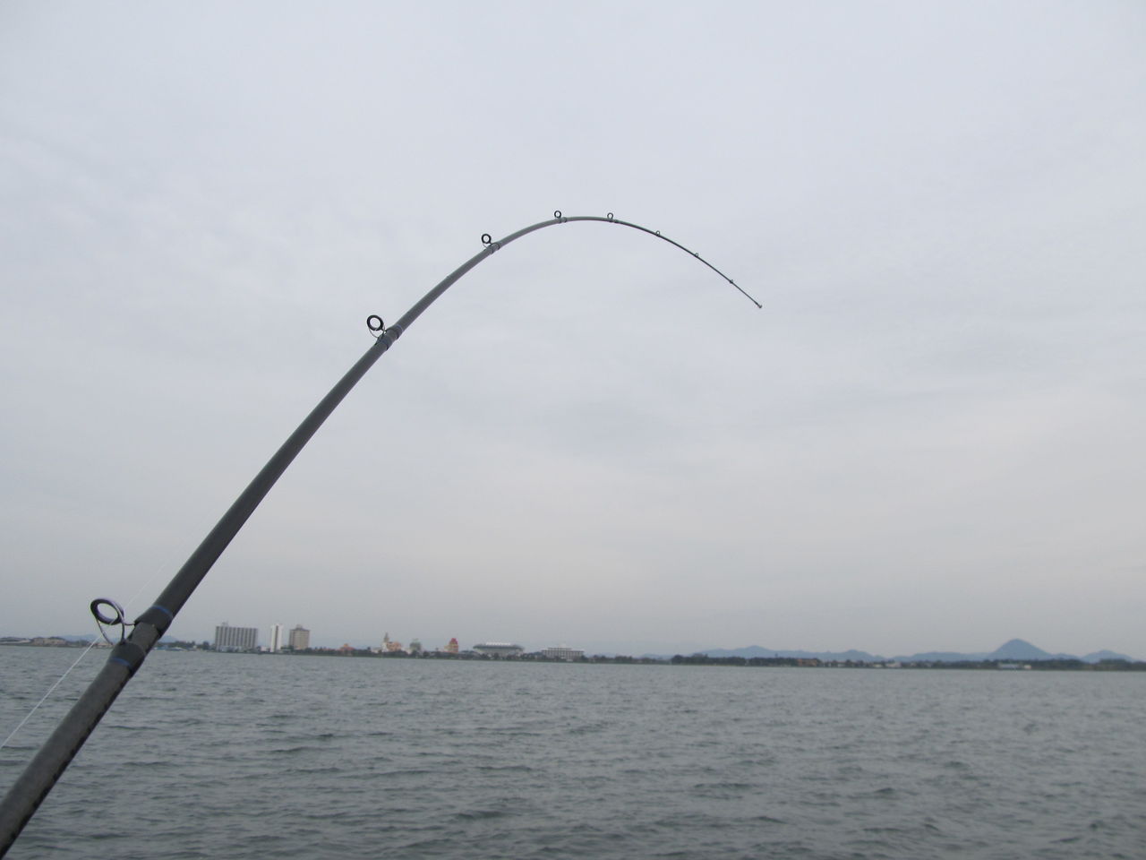 NEWロッド！【 EGスイミング72MH】 これ、ええ竿ですわ～！ : 下敷領