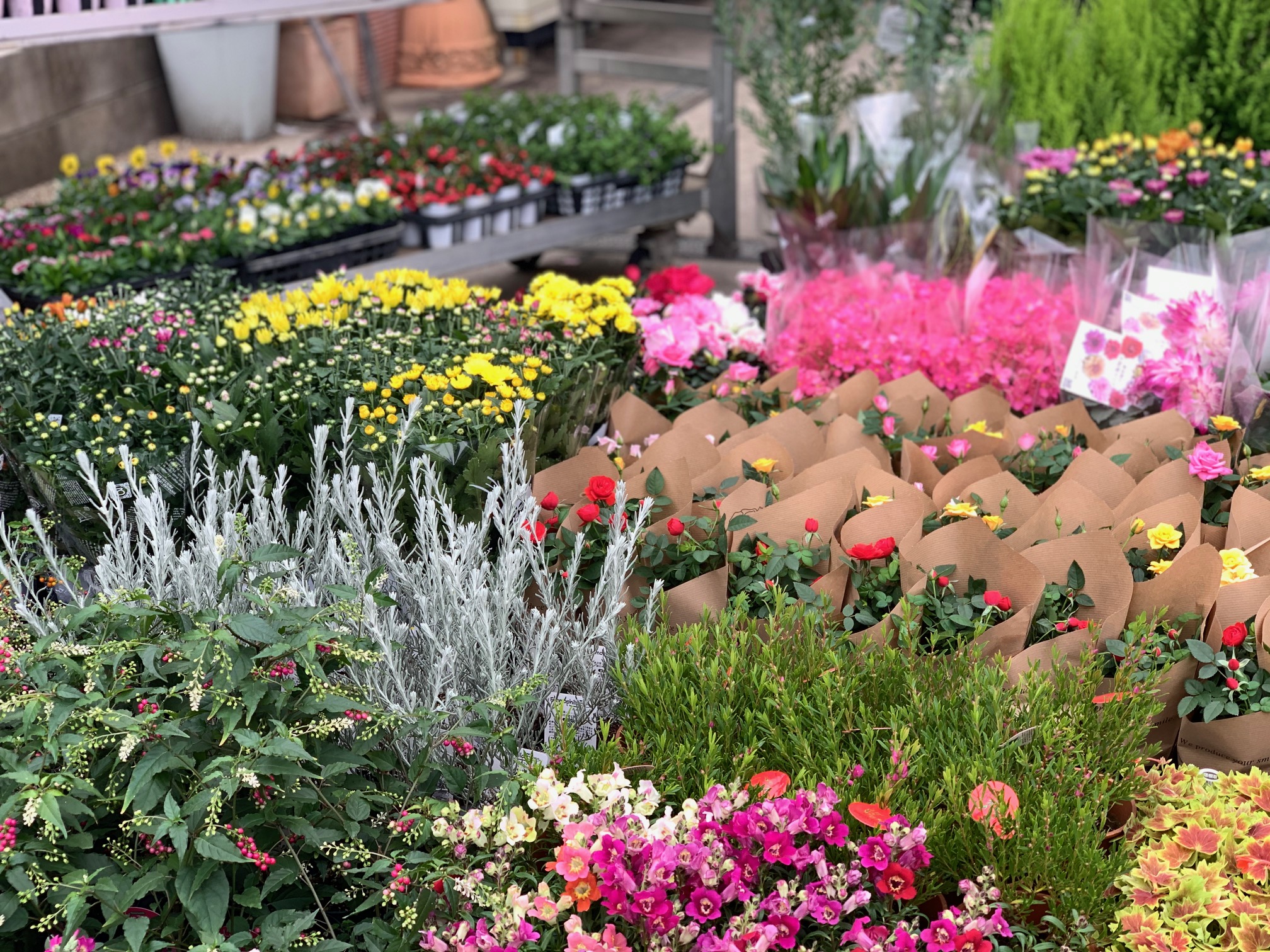 ガーデニング – Nishida Flower（西田フラワー）