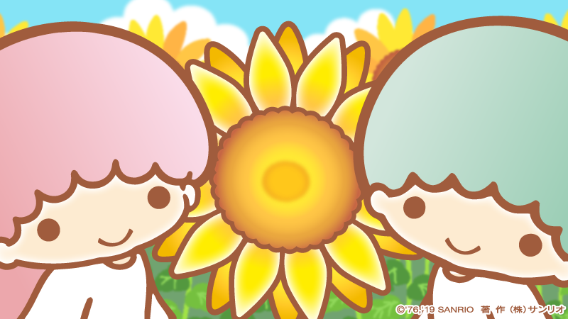 ぼくたちのお顔くらい、お〜っきなひわまりのお花が咲いたよ〜☆