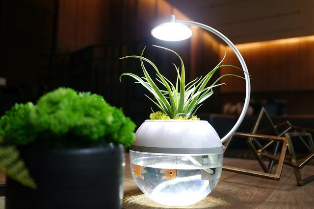 新商品】間接照明に「生命」を。植物と魚を育成できるLEDライト