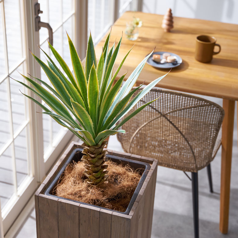 フェイクグリーン ユッカ グロリオサ 高さ 70cm 観葉植物 グリーン