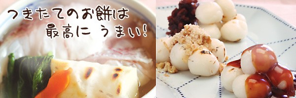 水田工業 水田 餅つき機 力(ちから) NK-402 (3〜4升用) : ミナト