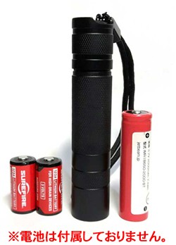 H2T 日亜 365nm UVライト ハイパワーチップLED「ブラックライト(紫外線