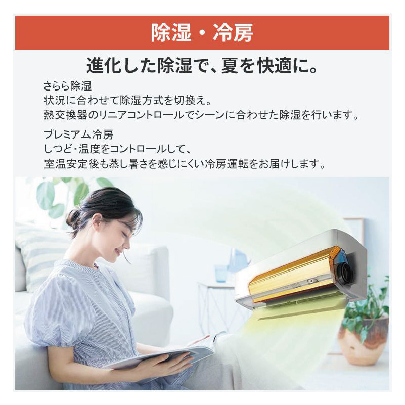 ストリーマ 標準取付工事費込 エアコン 14畳用 ダイキン 2026年モデル