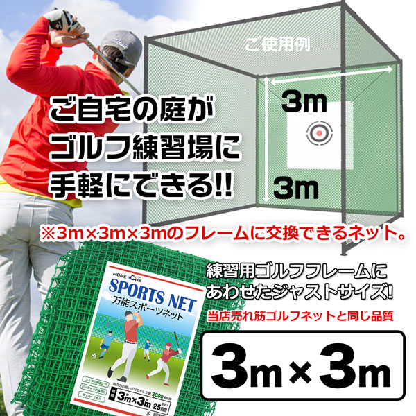 SHINSEI ゴルフネット 練習用 交換用ネット 3m×3m 6枚セット 万能