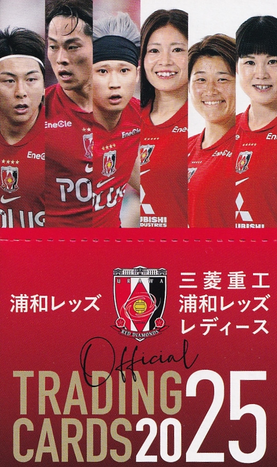 浦和レッズレディース マッチデーミニガーランド キーホルダー 櫻井