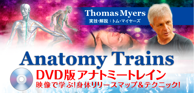 ジャパンライム Anatomy Trains アナトミー・トレイン 理学療法 トム