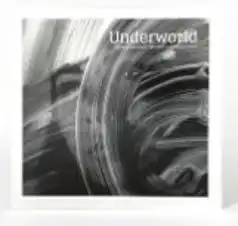 Barbara Barbara We Face A Shining Future (Reissue) [LP]/UNDERWORLD