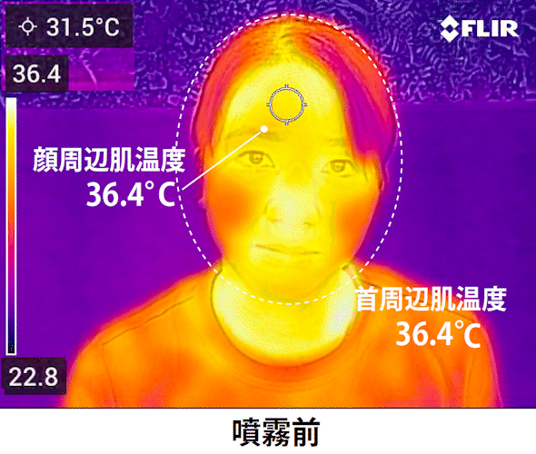 カルテック公式オンラインストア Turnedk Online Store / KL-HM01 目も