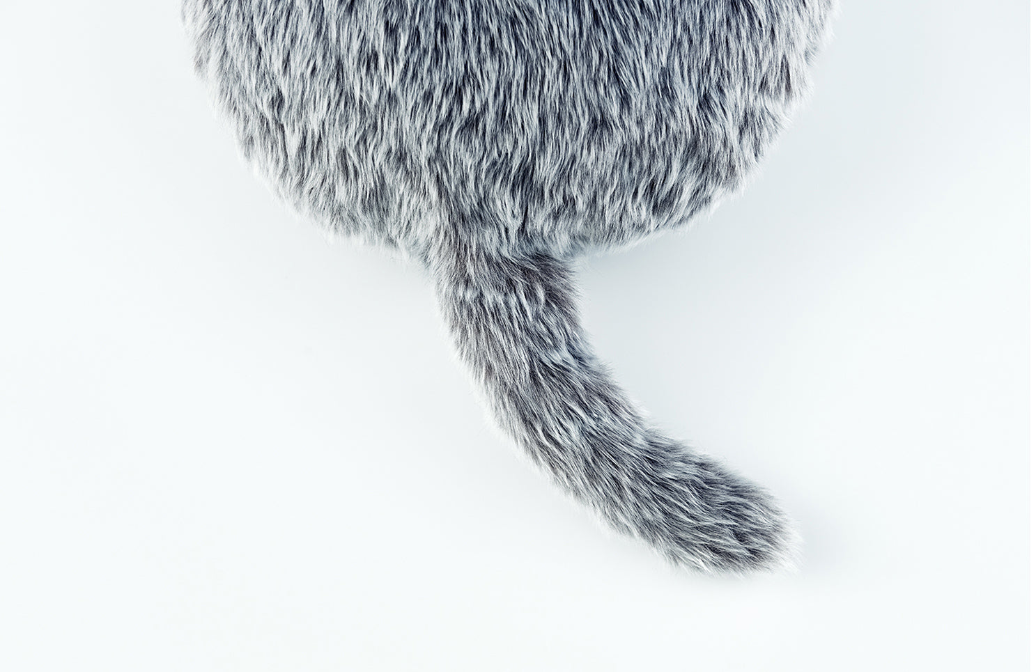 公式ストア】Qoobo（クーボ）心を癒やす、しっぽクッション。 – ユカイ