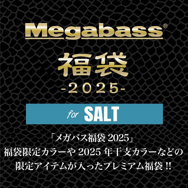 メガバス 2025 Megabass福袋 SALT SET: ソルトルアー｜釣具の通販なら