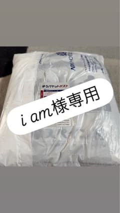 スノーボード ウェア レディース Lサイズ arg - メルカリ