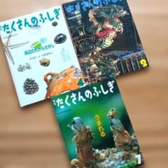 たくさんのふしぎ】3冊セット - メルカリ