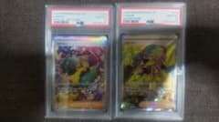 PSA10 連番】カナリィ SR SAR MEGAドリームex - メルカリ