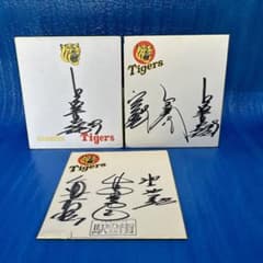 m39787860005_1.jpg?1707530631