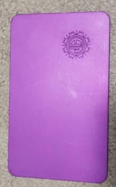 パープルプレート テスラ 本日だけ出品 - メルカリ