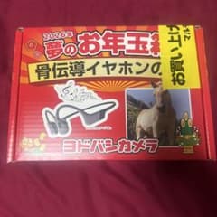 SHOKZ OPEN SWIM PRO 骨伝導イヤホン ヨドバシ 夢のお年玉箱 - メルカリ