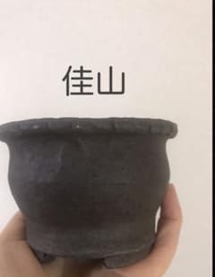 安い鉢 佳山の通販商品を比較 | ショッピング情報のオークファン