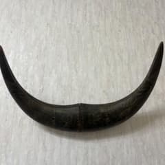 m60385969503_1.jpg?1698735560