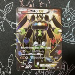 m79333750500_1.jpg?1764420253