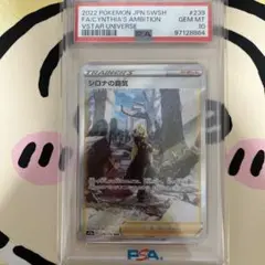 2026年最新】シロナの覇気sar psa10の人気アイテム - メルカリ