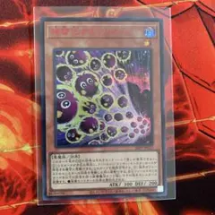 2026年最新】赤シクの人気アイテム - メルカリ